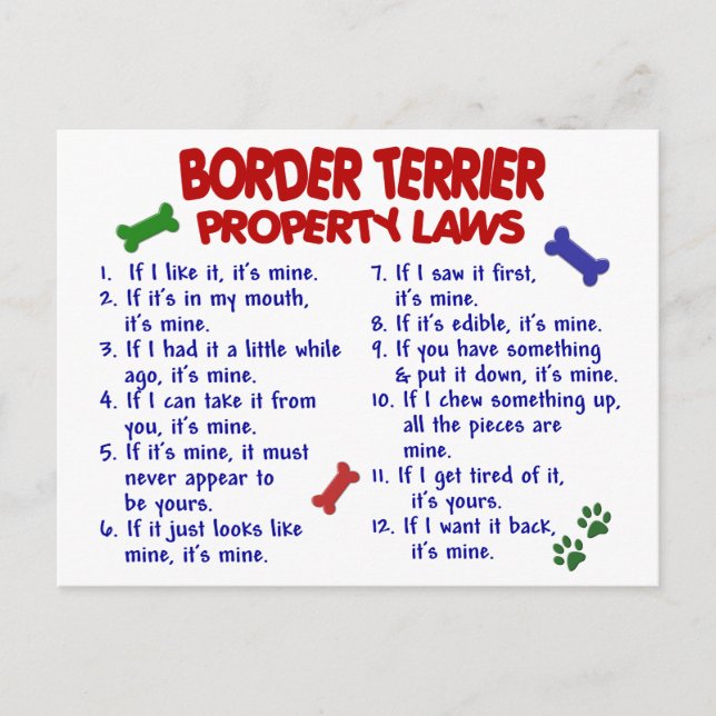 BORDER TERRIER Property Laws 2 Postcard (Front)