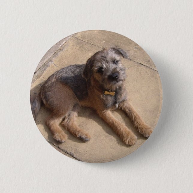 Border Terrier Puppy 6 Cm Round Badge (Front)