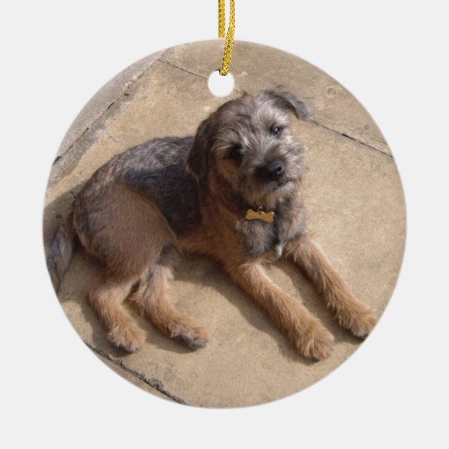 Border Terrier Puppy Ceramic Tree Decoration (Front)