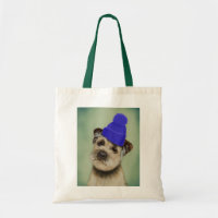 Border Terrier with Blue Bobble Hat