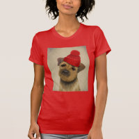 Border Terrier with Red Bobble Hat