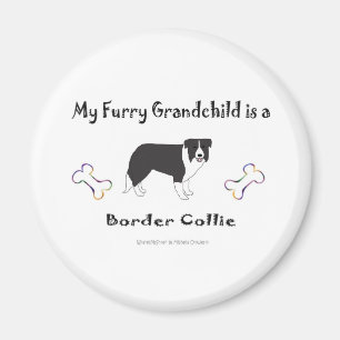 BorderCollie Magnet