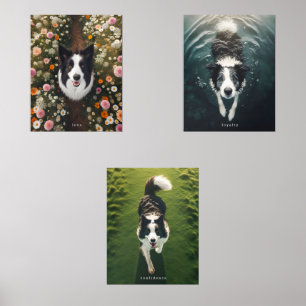 BorderCollie - Print Set