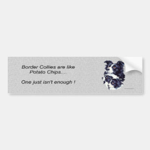 bordercollies_bumpersticker1 bumper sticker