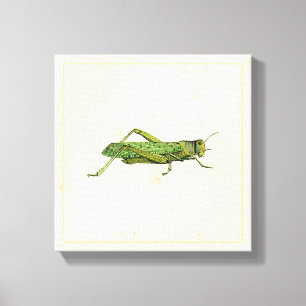 Bordered Print of Green Grasshopper
