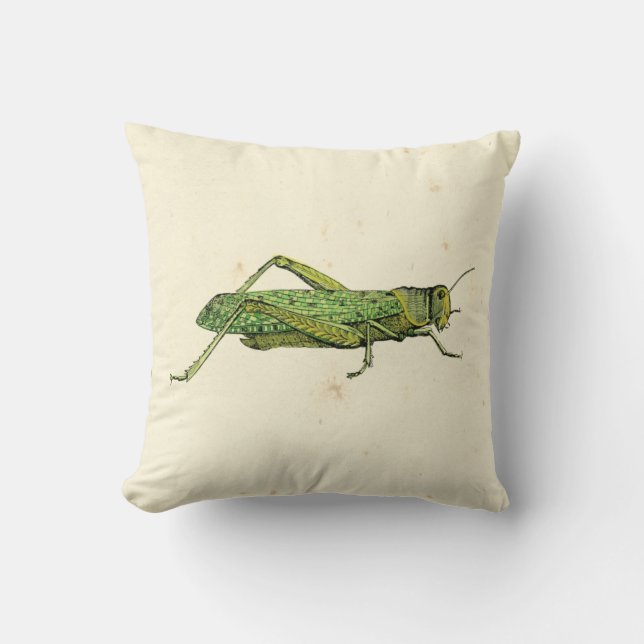 Bordered Print of Green Grasshopper Cushion (Front)