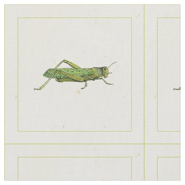 Bordered Print of Green Grasshopper Fabric (Close Up)