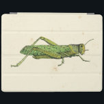 Bordered Print of Green Grasshopper iPad Cover<br><div class="desc">This lime bordered print features a green grasshopper on a cream background. A Vision Studio original,  this would make a great gift for the insect or nature lover in your life!</div>