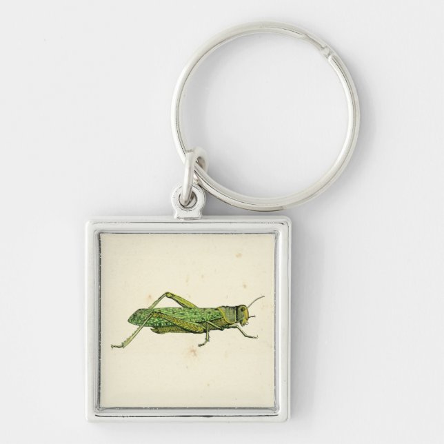Bordered Print of Green Grasshopper Key Ring (Front)