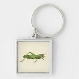 Bordered Print of Green Grasshopper Key Ring