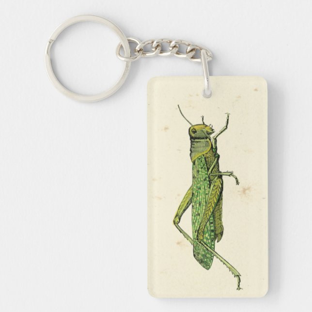 Bordered Print of Green Grasshopper Key Ring (Front)