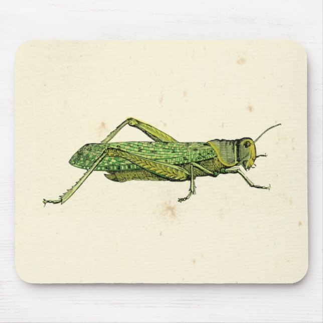 Bordered Print of Green Grasshopper Mouse Pad (Front)