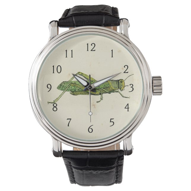 Bordered Print of Green Grasshopper Watch (Front)