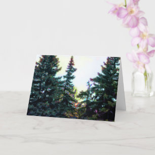 Boreal Forest Trees Canada Artsy Artistic Colourfu Card