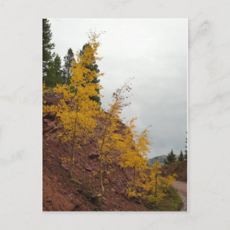 boreas pass aspens postcard