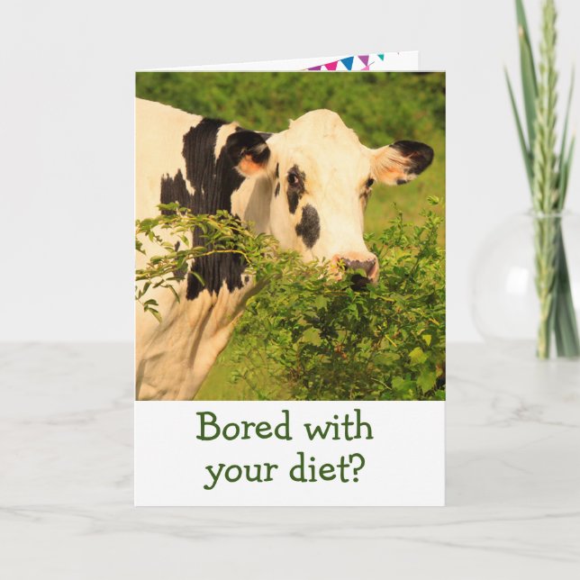 Bored Cow On A Diet Birthday Card (Front)