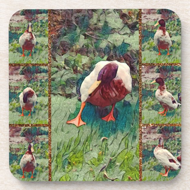 Bored Duck Photo Collage, Coaster Set (Front)