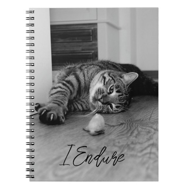 Bored Tabby Cat Lying on Side Staring at Toy Mouse Notebook (Front)
