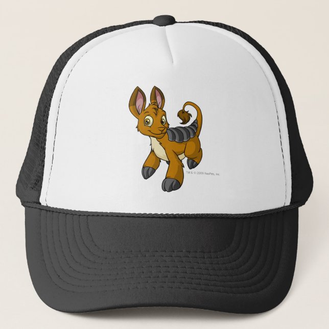 Bori Brown Trucker Hat (Front)