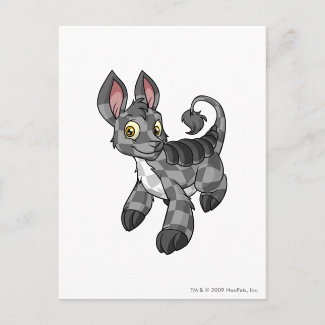 Bori Chequered Postcard (Front)
