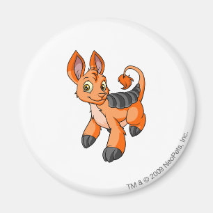 Bori Orange Magnet