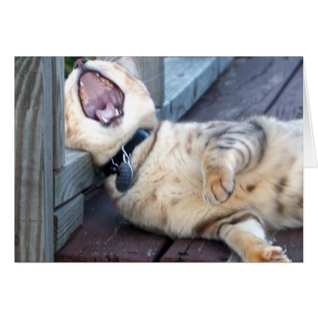 Boring! (Front Horizontal)