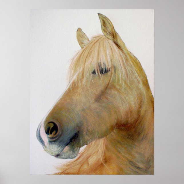 `Boris' Fineart Horse Poster (Front)