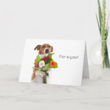 Boris - Jack Russell Terrier - Flowers for you!