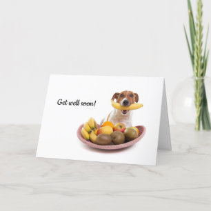 Boris - Jack Russell Terrier - Get well soon card
