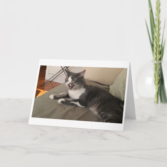 Boris the Cute Nubber Kitty Greeting Card (Front)