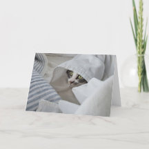 Boris the Cute Nubber Kitty Greeting Card