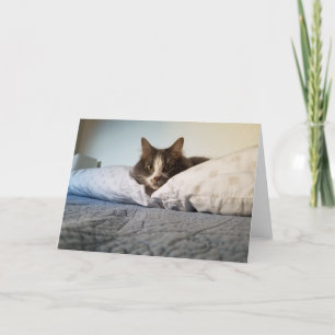 Boris the Cute Nubber Kitty greeting card