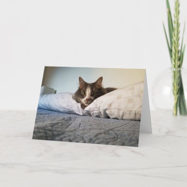 Boris the Cute Nubber Kitty greeting card (Front)