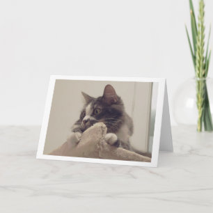 Boris the Cute Nubber Kitty Greeting Card