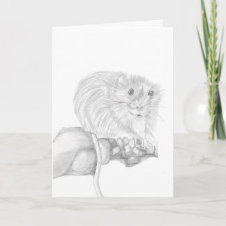 Boris The Mouse, Animal Drawing Card