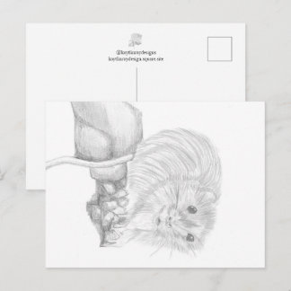 Boris The Mouse, Animal Drawing Postcard
