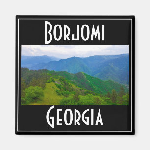 Borjomi-Kharagauli National Park Georgia Caucuses Magnet