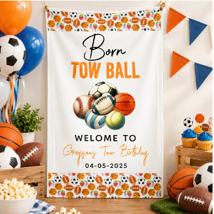 Born 2 Ball Sport Themed Boy 2nd Birthday Party Banner