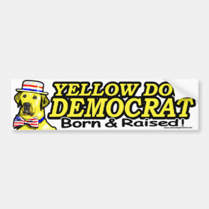 Born And Raised Bumper Sticker