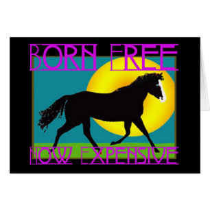 Born Free - Now Expensive