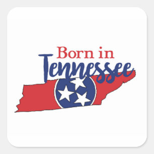 Born in Tennessee State Symbols Volunteer State Square Sticker