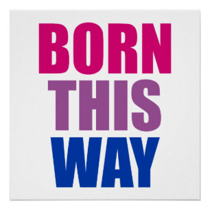 Born This Way Bisexual Bi Pride LGBTQ Poster