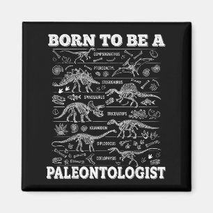 Born To Be A Paleontologist Dinosaur Funny Chart S Magnet