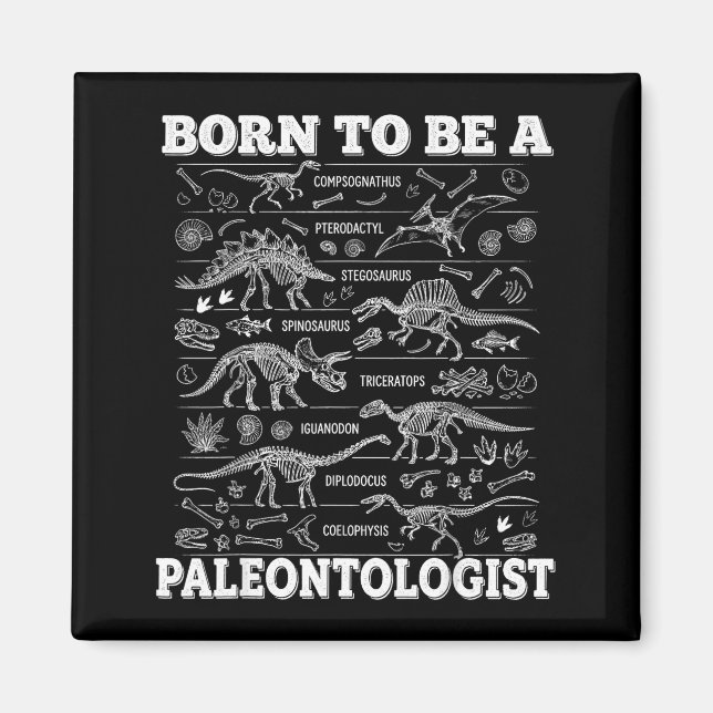 Born To Be A Paleontologist Dinosaur Funny Chart S Magnet (Front)