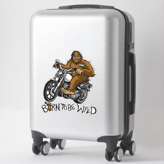 Born to be wild