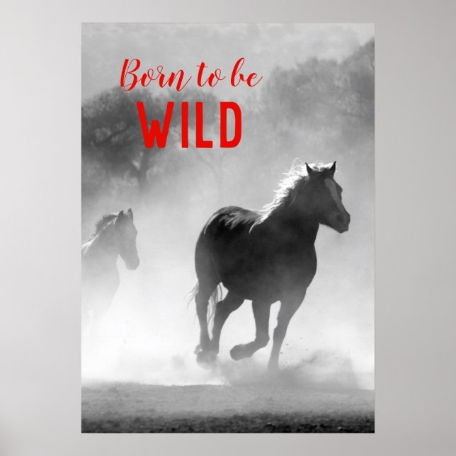 Born to be Wild Black & White Running Horses Poster (Front)