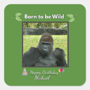 Born to be Wild Gorilla Birthday  Square Sticker