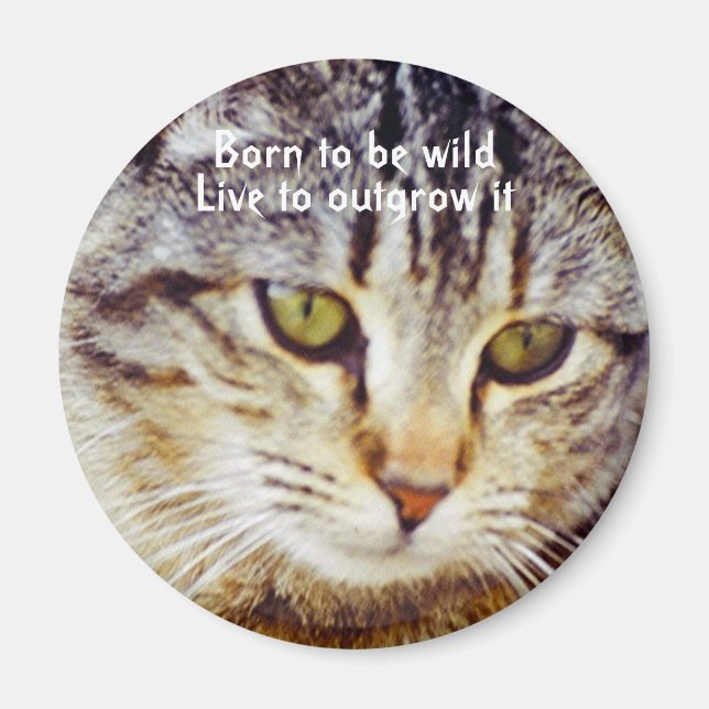 Born to be wild magnet (Front)