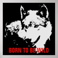 Born To Be Wild Motivational Pop Art Wolf