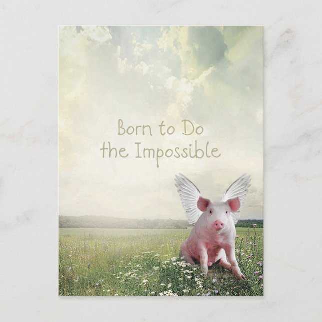 Born to Do the Impossible Flying Pig  Postcard (Front)